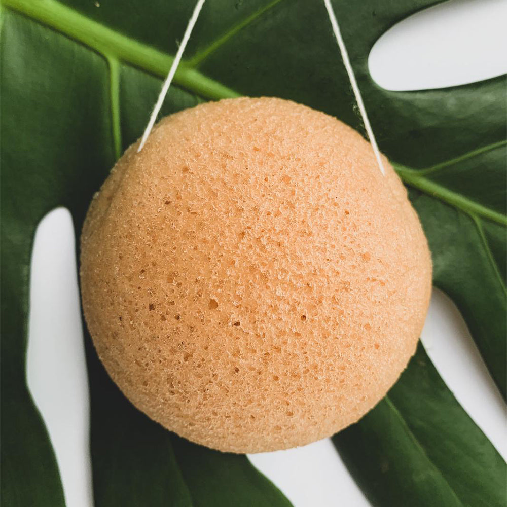 Natural Konjac Sponges - Blaze Swimsuit